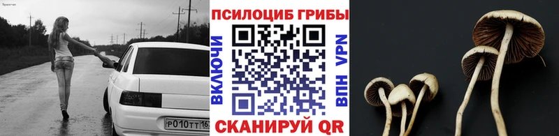 купить наркотик  Дзержинский  Псилоцибиновые грибы Magic Shrooms 